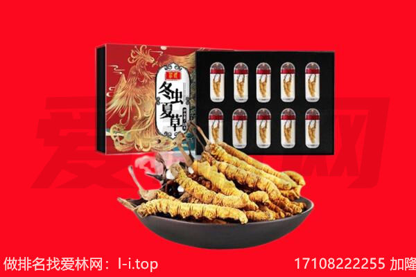 黔南回收虫草.jpg